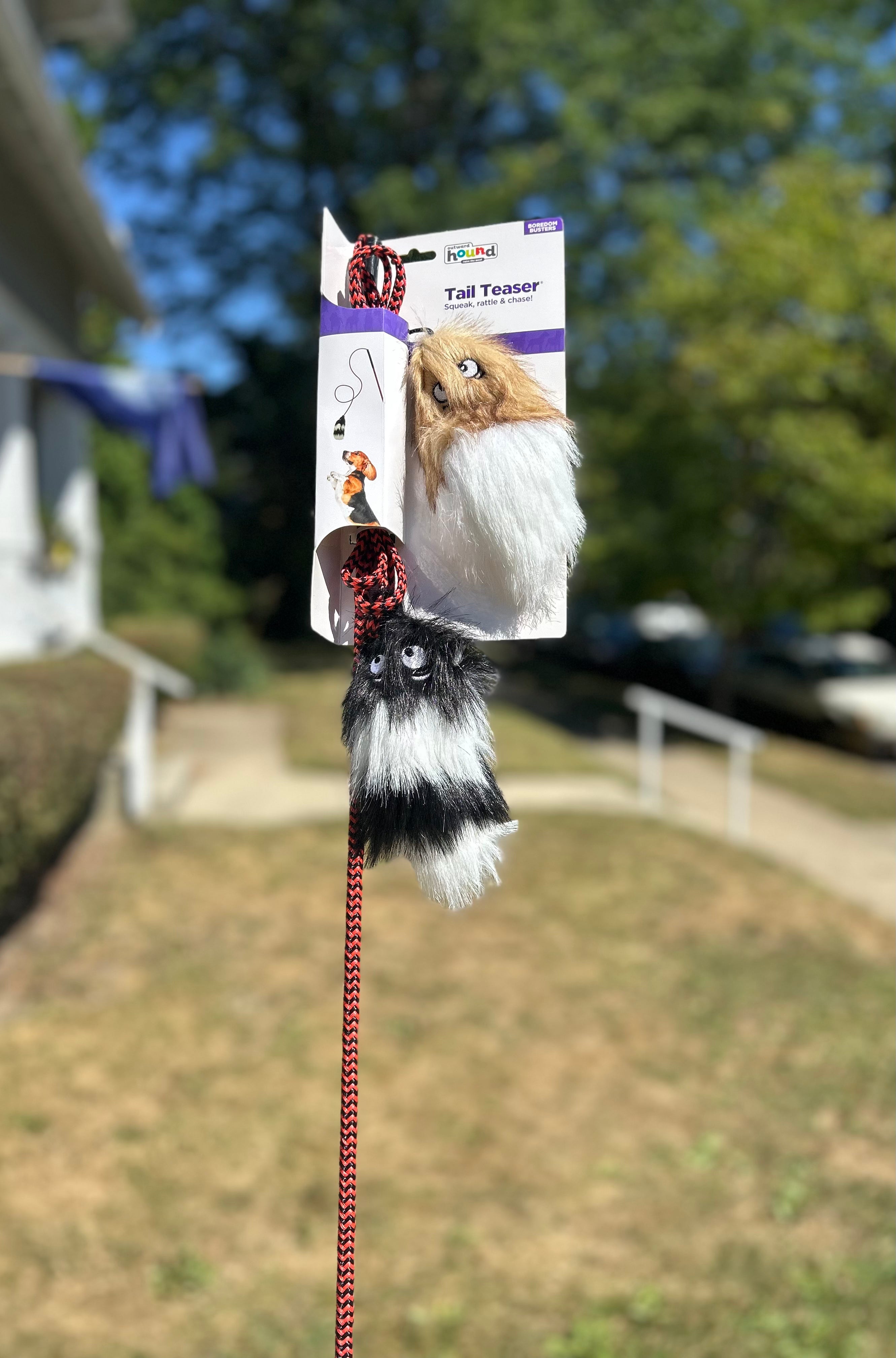 Sunshine's Play, Focus, and Reward Toolkit