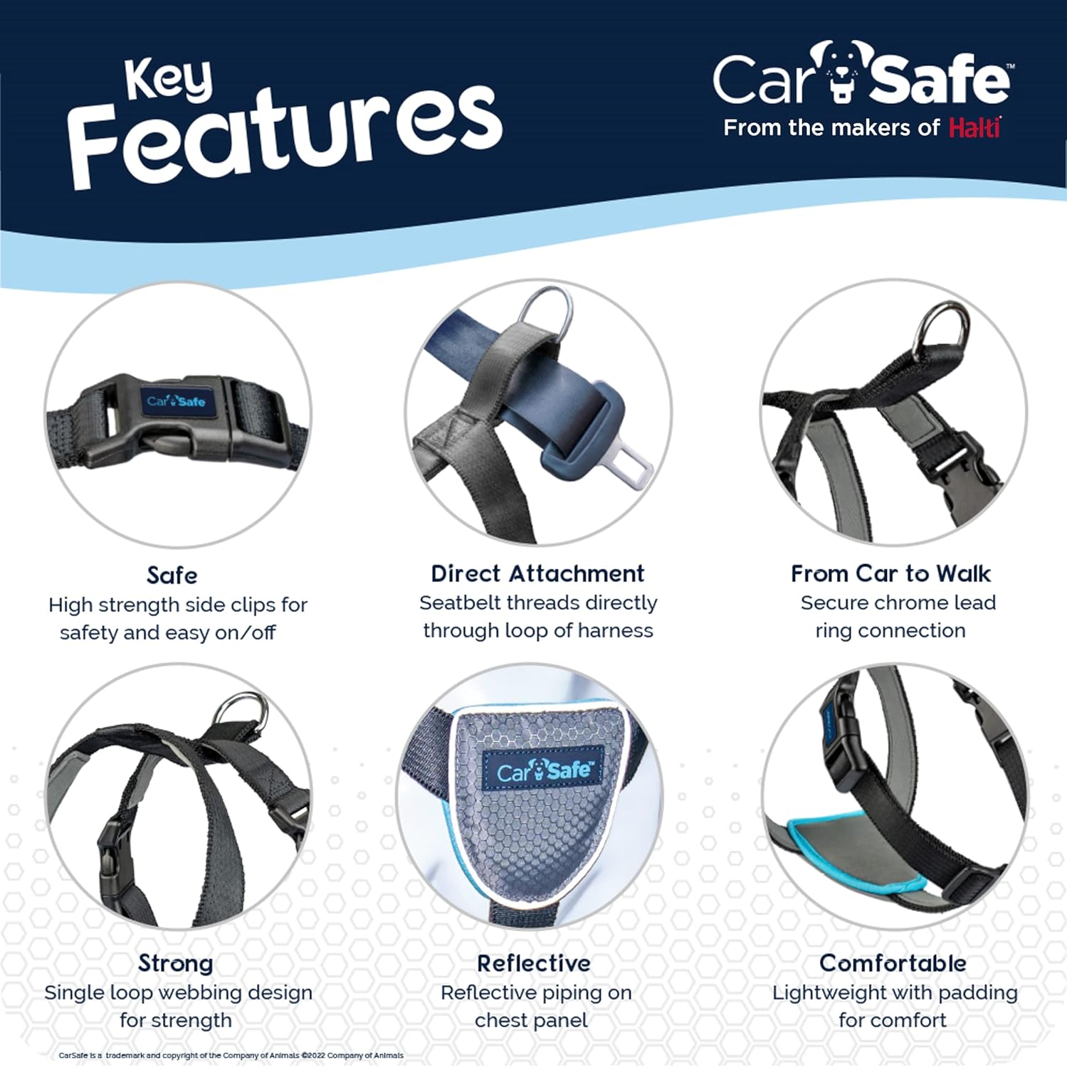 CarSafe Car Harness