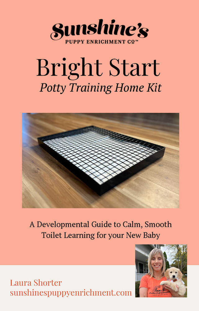 Sunshine's Bright Start Potty Training Kit-includes Potty Box and E-Book