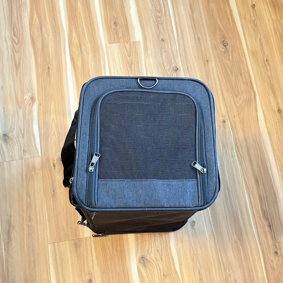 Sunshine's Bon Voyage Air Carrier