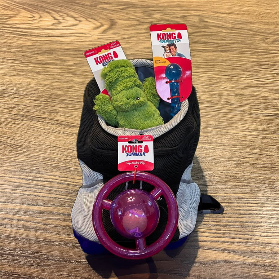 Sunshine’s Explorer Knapsack Set