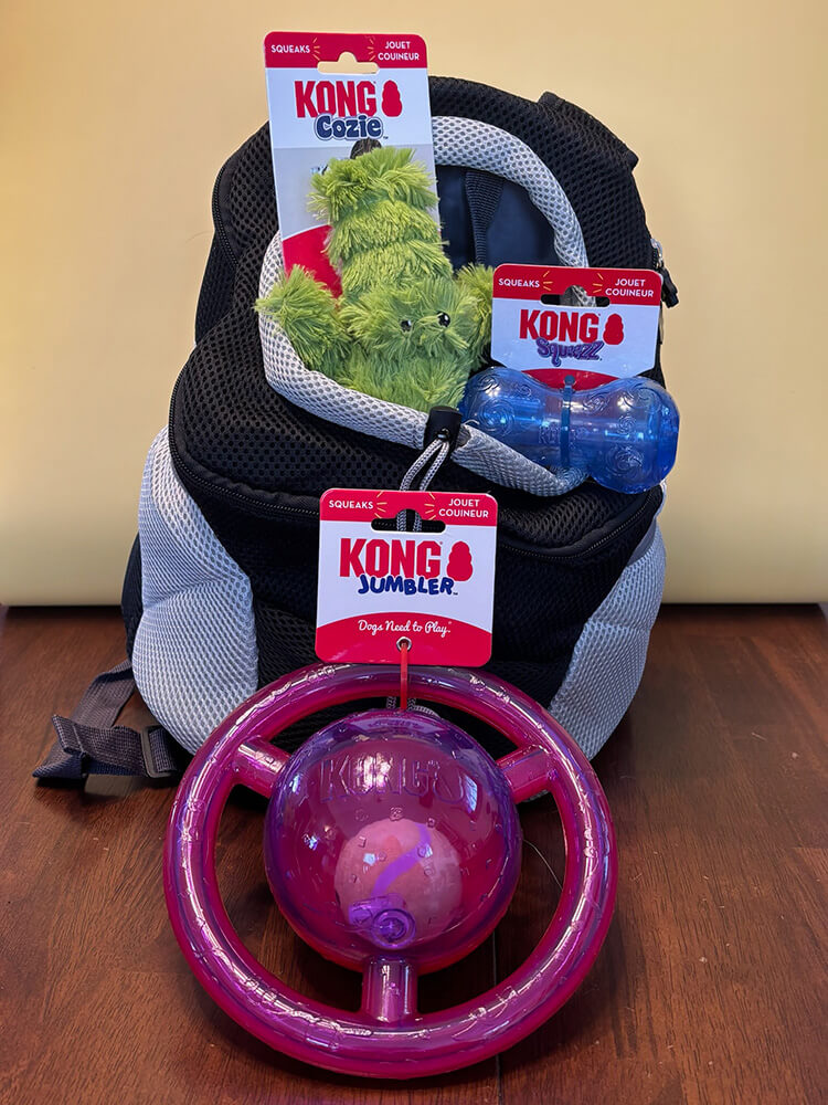 Sunshine’s Explorer Knapsack Set