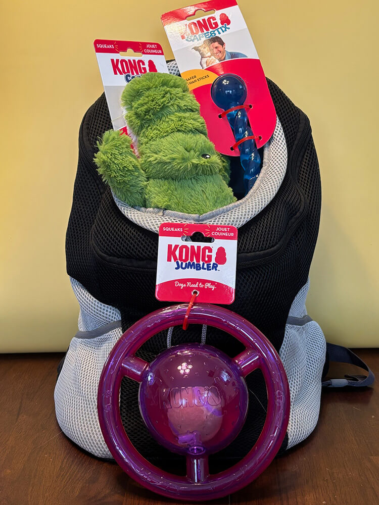 Sunshine’s Explorer Knapsack Set