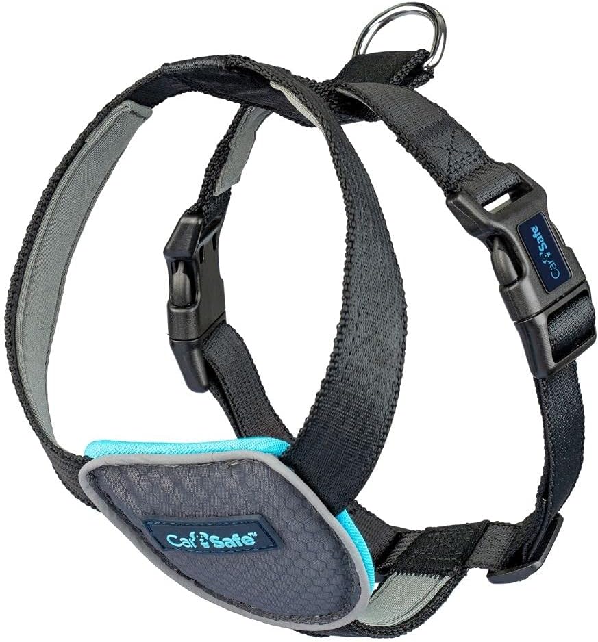 CarSafe Car Harness
