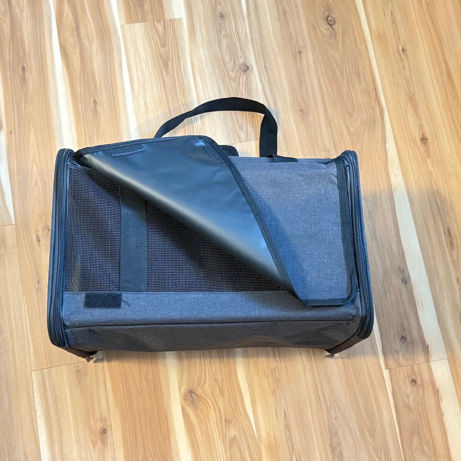 Sunshine's Bon Voyage Air Carrier