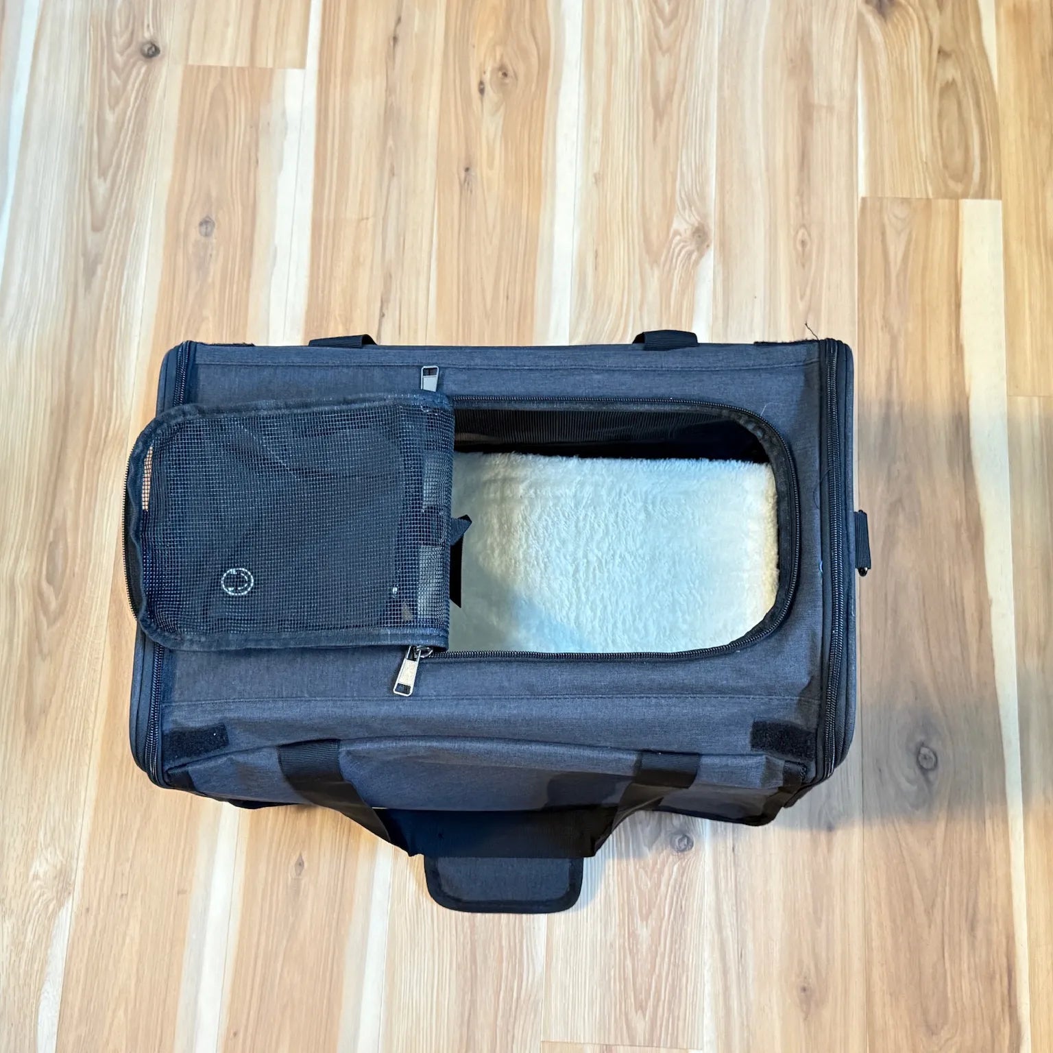 Sunshine's Bon Voyage Air Carrier