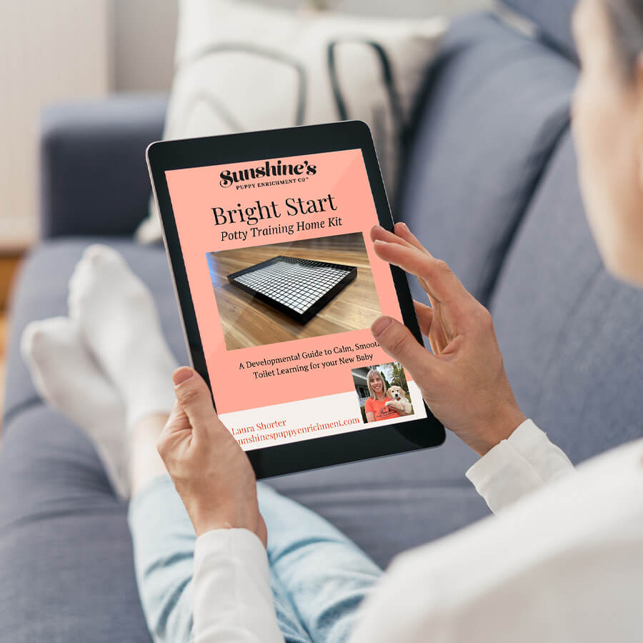 Sunshine’s Bright Start Kit (EBook & Potty Box)