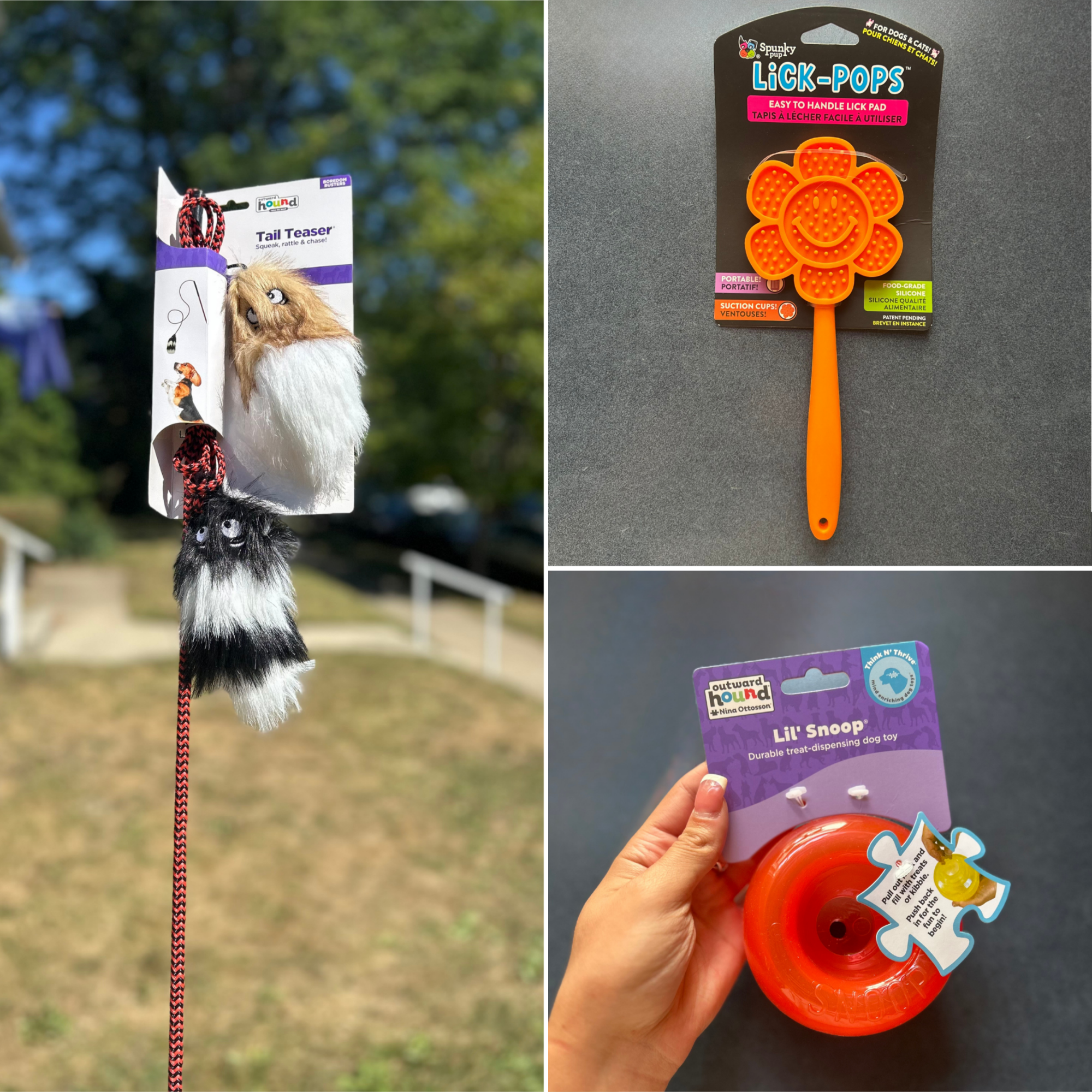 Sunshine's Play, Focus, and Reward Toolkit